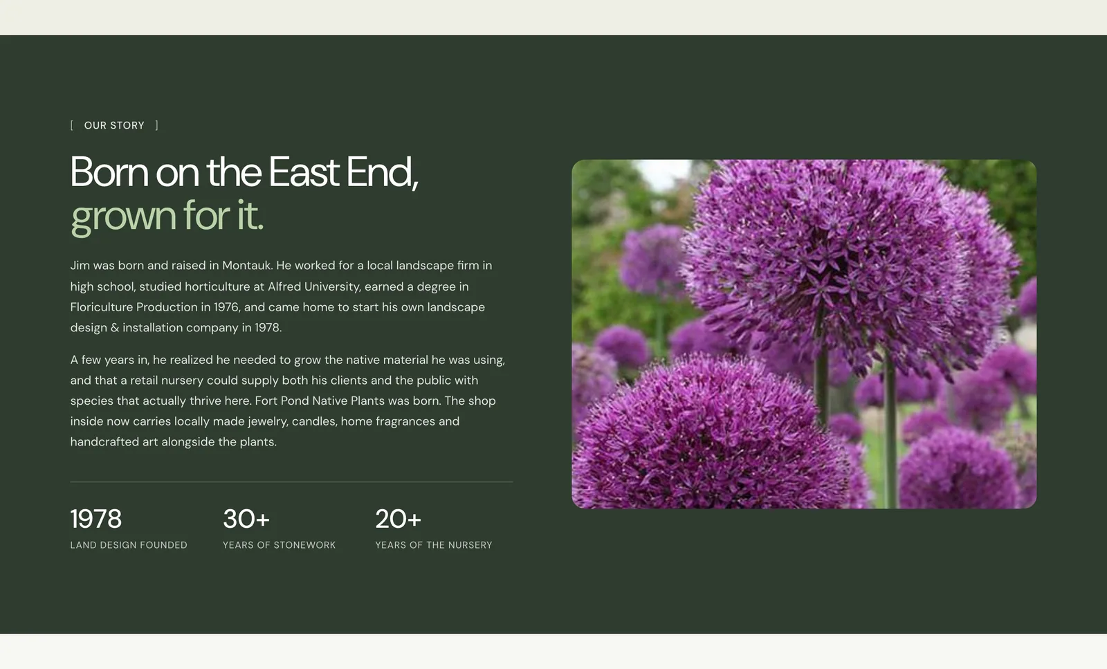 A further section of the Fort Pond Native Plants concept site.